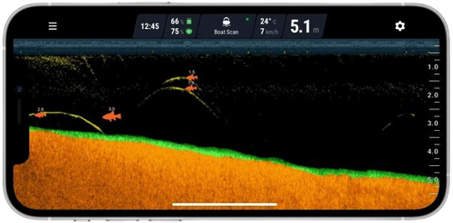 Understanding How to Read Deeper PRO/PRO+ 2 Fishfinder Display ...