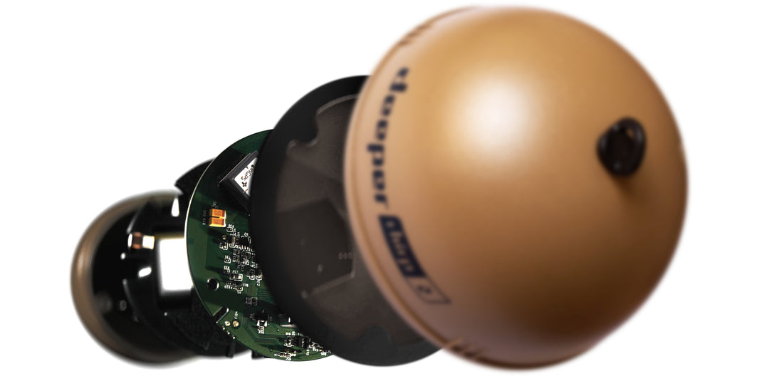 SUPPORT DEEPERSONAR visual data 2